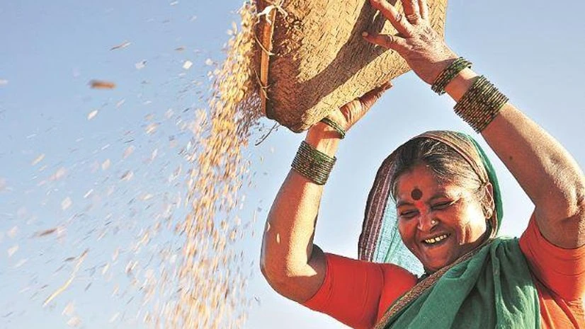 agriculture farmer, agriculture