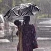 Price hikes, monsoons push propel agri input firms' Sept quarter profits