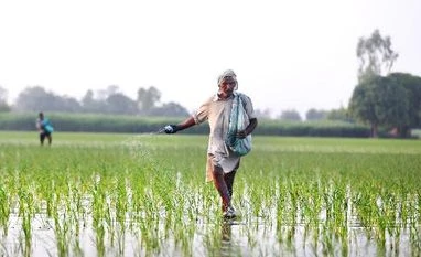 Rewind 2018: Problem of plenty leads to price concerns in agri sector farmer, msp, agriculture