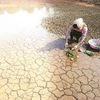 Drought-like conditions? Rain deficit widens in east, North-East India