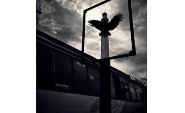 Clicked by P20 Pro: Huawei announces winner for its photography challenge Photography