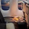 flight, airline, in-flight meal, meal, non-veg, nonveg food, plane