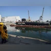 Mazagon Dock shares plunge 5% as Q1 profit drops; time to book profit?