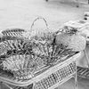Baskets stitched by women in a village in Bareilly under Mrida Group