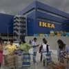 IKEA plans to make West Bengal a sourcing hub for natural fibre and bamboo