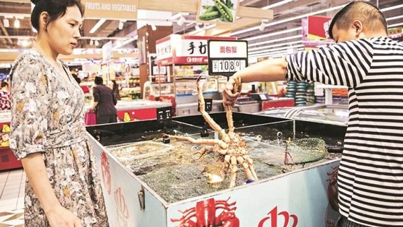 Taizhou Tianhe Aquatic Products’ more than 1,000 workers process 10,000 tons a year of freshwater crayfish, frozen squid, dory fillets, and other seafood for sale to the US, Europe, and Australia Taizhou Tianhe Aquatic Products’ more than 1,000 workers process 10,000 tons a year of freshwater crayfish, frozen squid, dory fillets, and other seafood for sale to the US, Europe, and Australia