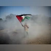 Palestine, Gaza Palestine