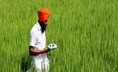 Non-food bank credit rose by 13.4% in October, farm loans up too: RBI data Agriculture, farming