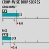 CRISIL DRIP index: Inadequate rains affecting Gujarat, West Bengal more