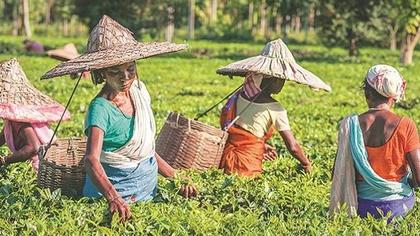 Representative image Representative image