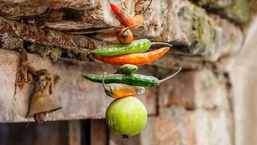 Photo: Shutterstock Photo: Shutterstock