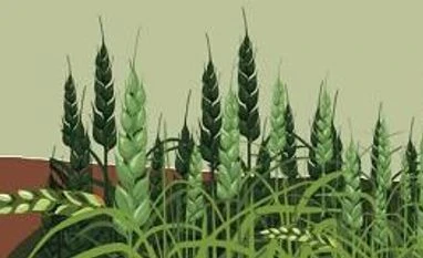 politicians, politics politicians, politics