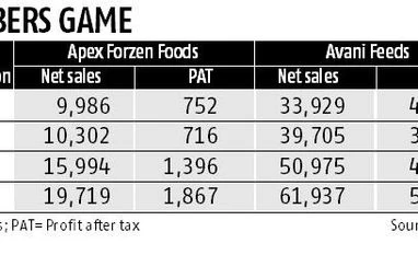 US demand revival brings new hope to Indian acquaculture firms Chart