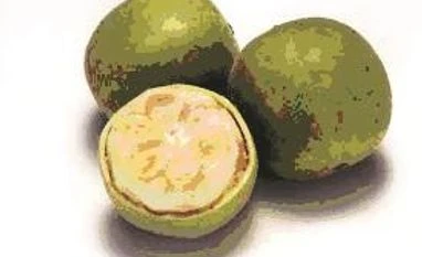 Answers to the Strategist quiz 581 The Strategist Quiz (# 581)