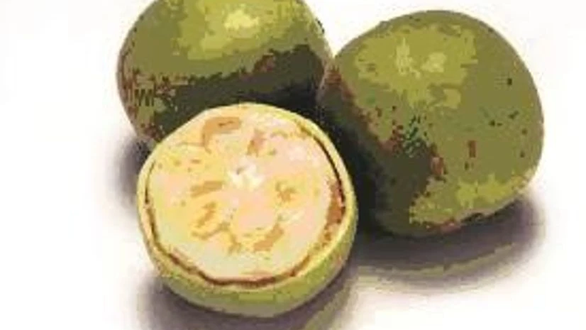 The Strategist Quiz (# 581) The Strategist Quiz (# 581)