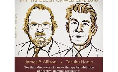 Deserving winners of this year's Nobel Prize in Physiology or Medicine 2018 Nobel Medicine Prize