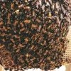 Centre looks to set-up own company to promote select rural products