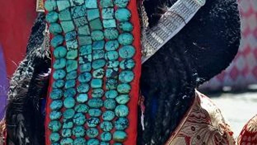 Naropa festival Naropa festival