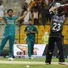 Pakistan's Hasan Ali celebrate after taking a wicket against a T20I match against New Zealand in Abu Dhabi on Wednesday, October 31, 2018. Photo: Twitter @TheRealPCB