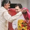 Naidu and Rahul Gandhi