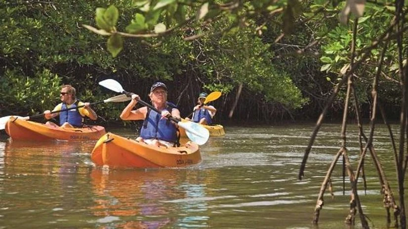 Kayaking in waters around Mangrove forests | Photo courtesy: Barefoot at Havelock Kayaking in waters around Mangrove forests | Photo courtesy: Barefoot at Havelock