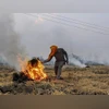 Delhi air pollution stubble burning