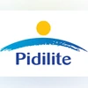 Pidilite Industries Pidilite Industries