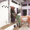 Madhya Pradesh polls: BJP's politics turns cow into party campaigner
