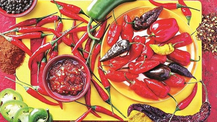 Bhut Jholakia Objects of desire