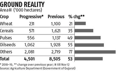 Rabi sowing in Gujarat likely to fall by half; crop production 60% lower Rabi sowing in Gujarat likely to fall by half; crop production 60% lower