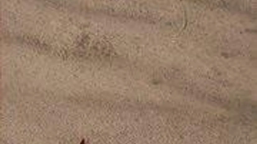 Nature’s Edge Nature’s Edge