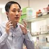 He Jiankui, an American-educated scientist based in Shenzhen, claimed he used Crispr, a powerful gene-editing tool, to make recently born twin girls resistant to HIV	(Photo: AP/PTI)