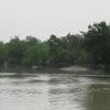 How a women-led initiative are trying to preserve new islands in Sunderbans