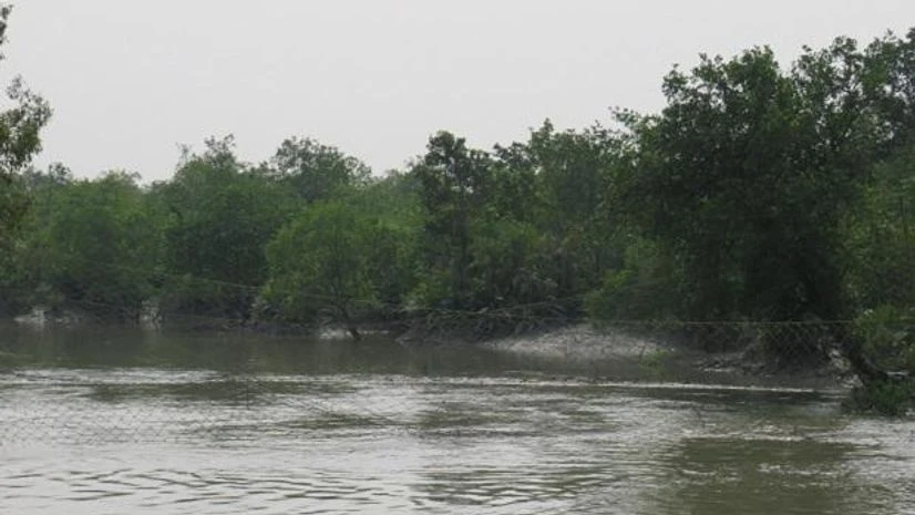sunderbans sunderbans