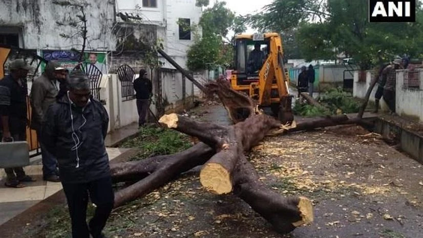 Trees were uprooted in Visakhapatnam district's Narsipatnam after strong winds and rainfall hit the region (Photo: ANI) Trees were uprooted in Visakhapatnam district's Narsipatnam after strong winds and rainfall hit the region (Photo: ANI)