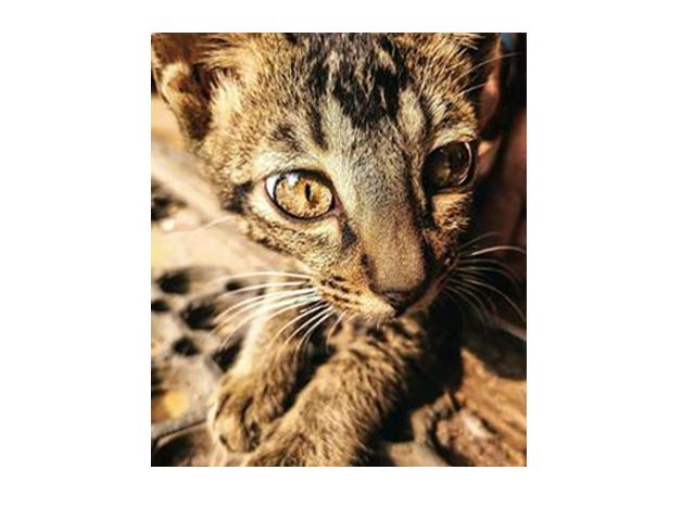 Love macro photography? This is what you need