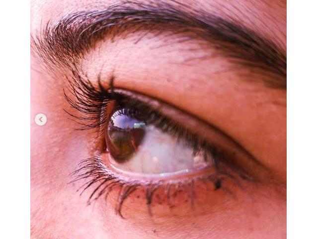 Love macro photography? This is what you need