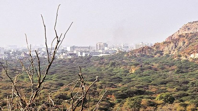 Expanding forest cover UN questions India's forest cover data over lack of transparency & clarity