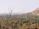 UN questions India's forest cover data over lack of transparency & clarity UN questions India's forest cover data over lack of transparency & clarity
