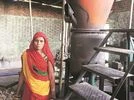 biomass plant biomass