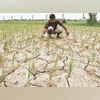 farm loans, farm distress, farm loan waiver farm loans, farm distress, farm loan waiver