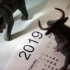 markets 2019, stock market