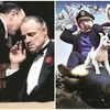 fighting for existence   The once-thriving studio, responsible for classic blockbusters such as The Godfather (left) and The Adventures of Tintin, racked up nearly $900 million in losses between 2016 and 2018