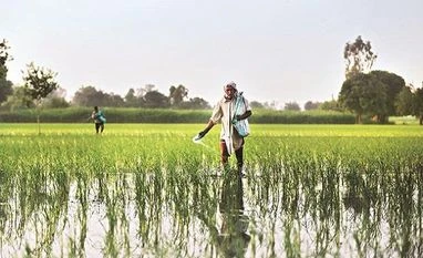 Feb 1 cut-off date for eligibility consideration under PM-Kisan scheme Farmers, Agriculture