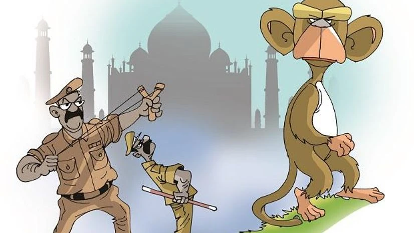 Illustration by Binay Sinha Illustration by Binay Sinha