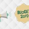 Interim budget 2019