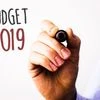 Interim budget 2019
