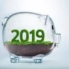 Interim budget 2019