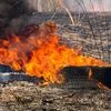 burning tyres