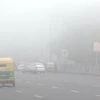 Delhi cold wave: IMD predicts fresh spell of very dense fog in Delhi